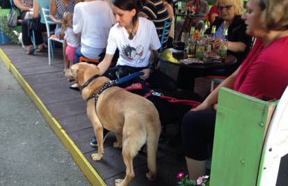 Vlasnici pasa podržali vlasnika kafića: 'Nepravedno je kažnjen'