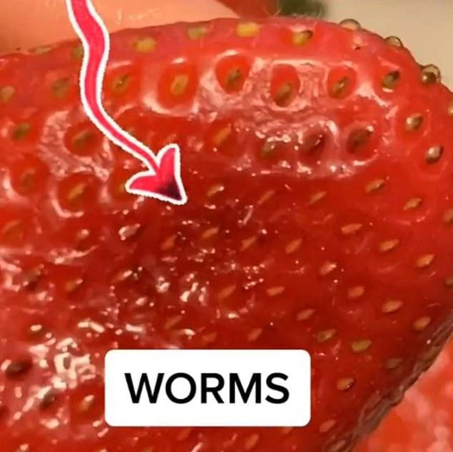 TikTokeri zgroženi: U jagodama pronalaze crve i male bubice