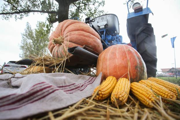 51. Olimpijada starih sportova u Brođancima