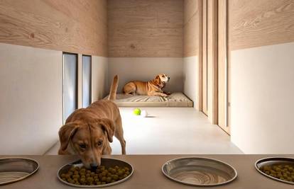 Aerodrom u Rimu otvorio hotel za pse: Kamera, masaže i mirisi za opuštanje, a cijene od 40 €