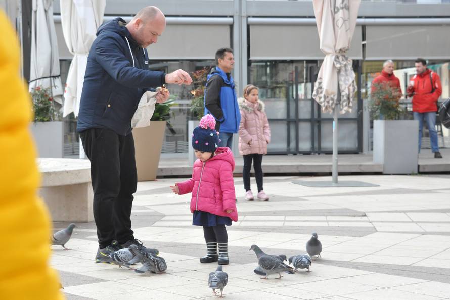 Pula: U centru grada golubovi su od prolaznika 'dobili ručak'