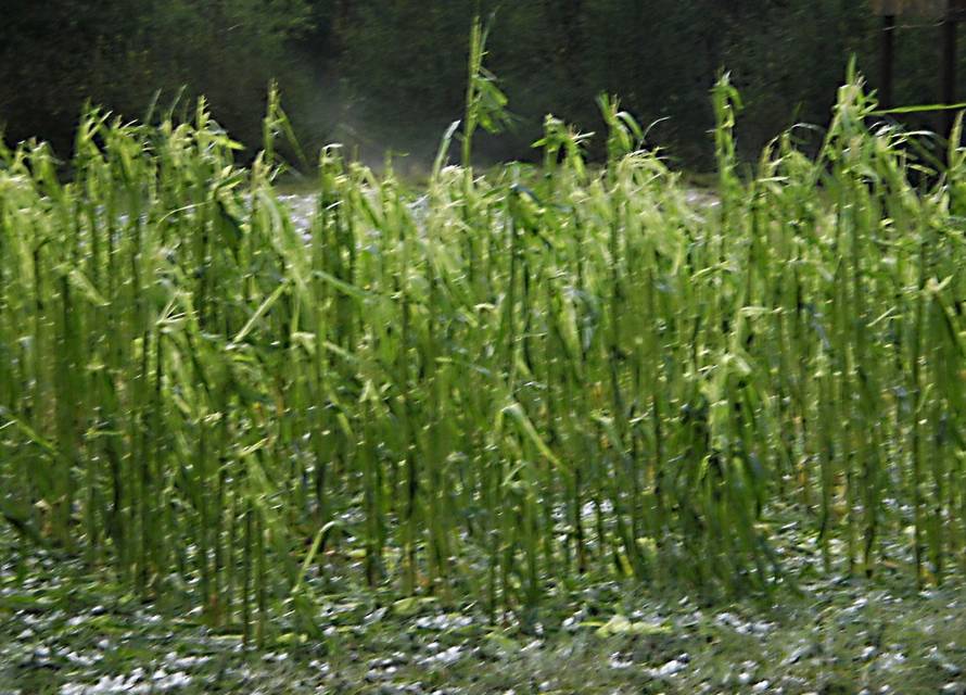 Anđelko Suhodolčan/24sata