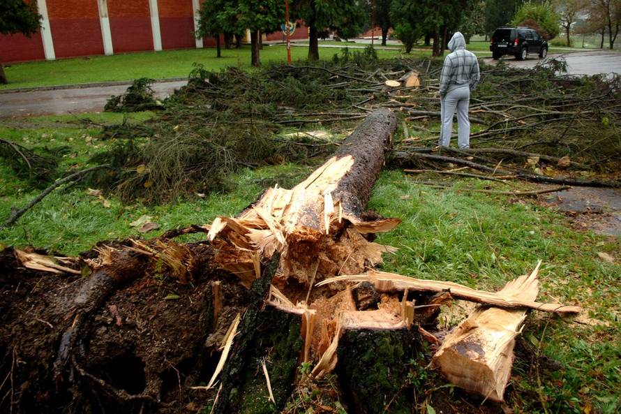 Dusko Mirkovic/PIXSELL