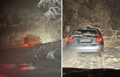 Zameo ih snijeg na Papuku: 'Ljudi su motornim pilama rezali grane da nas izvuku van!'