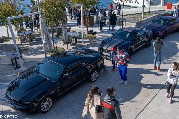 GALERIJA Kultni američki Mustanzi zablistali su u Rovinju