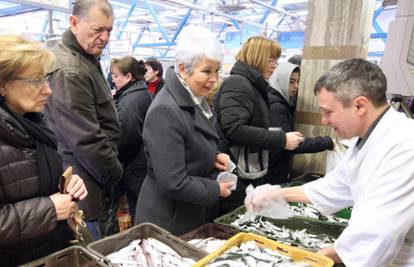 Ajme, koliki red: Kosor na cesti čekala da kupi srdele na Dolcu