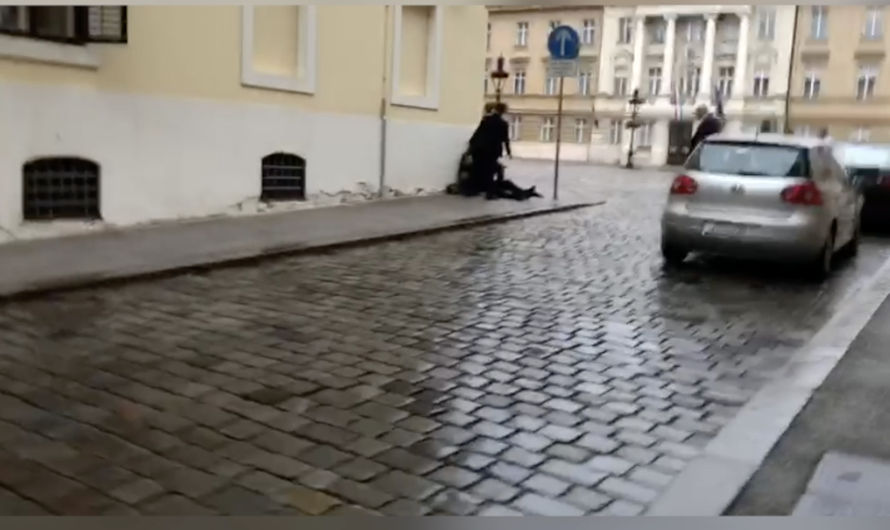 VIDEO Snimka nakon napada: Prolaznici su pomogli policajcu