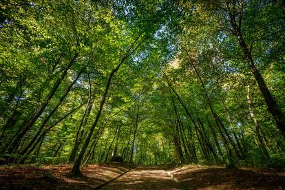 Park Maksimir u rujnu: Evo kako je izgledao poslije kiše