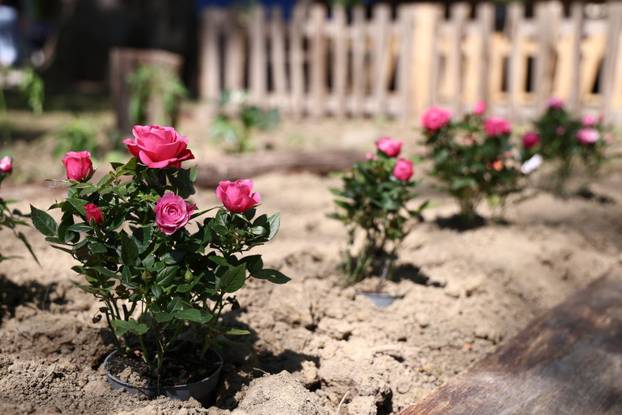 U Dugom selu održan je sajam cvijeća