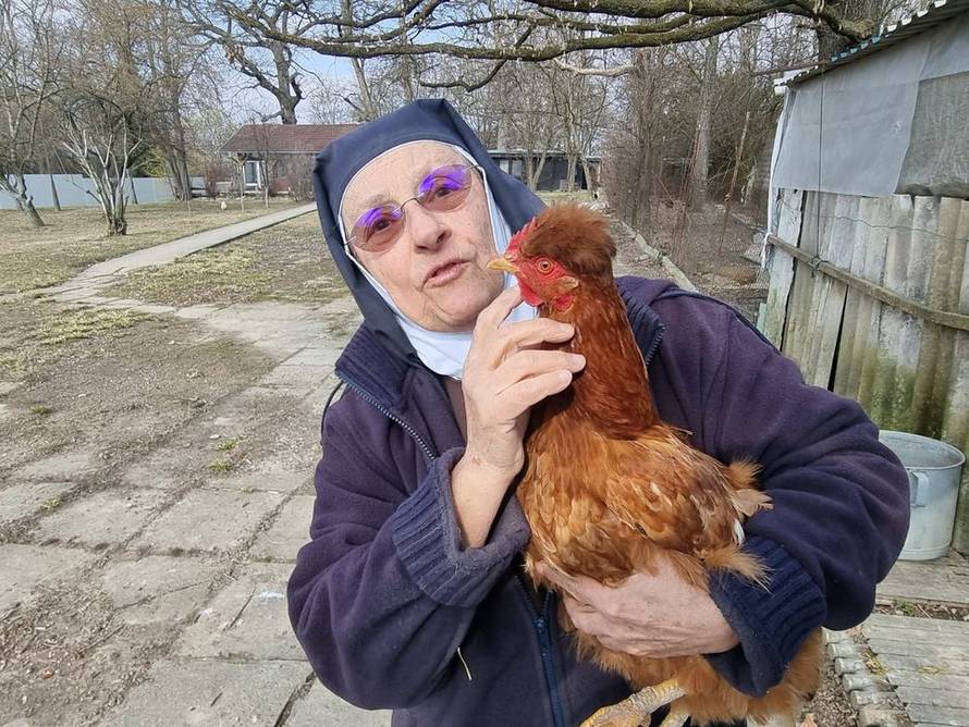 Kokoš Čupka pronašla novi dom: O njoj se brinu časne sestre iz samostana Karmel