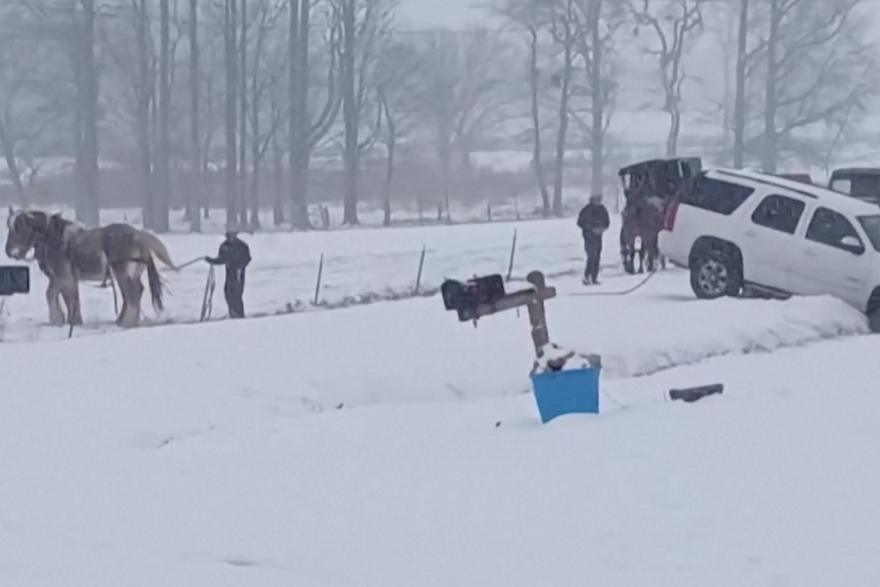 Tennessee: Automobil zapeo u snijegu, izvlače ga konji