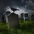 Najveća praznovjerja u Hrvata: Ako vrane grakću, slijedi smrt