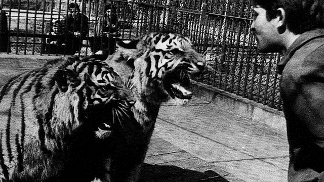 FOTO Ovo su prve životinje koje su živjele u zagrebačkom ZOO-u