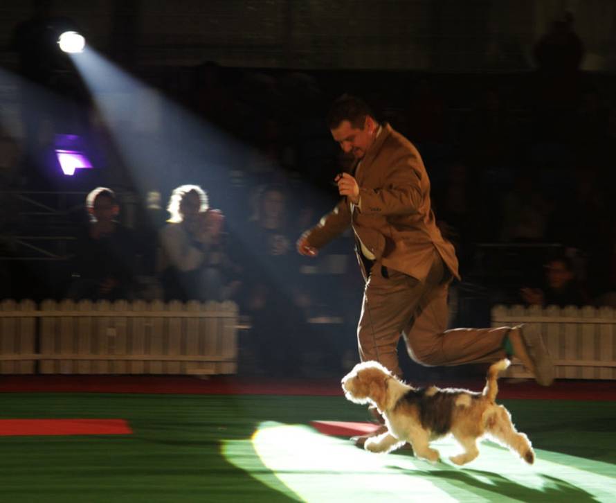 Hrvatski kinološki savez