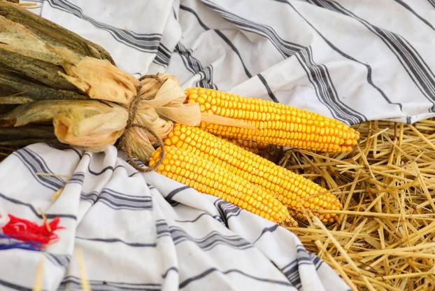 51. Olimpijada starih sportova u Brođancima