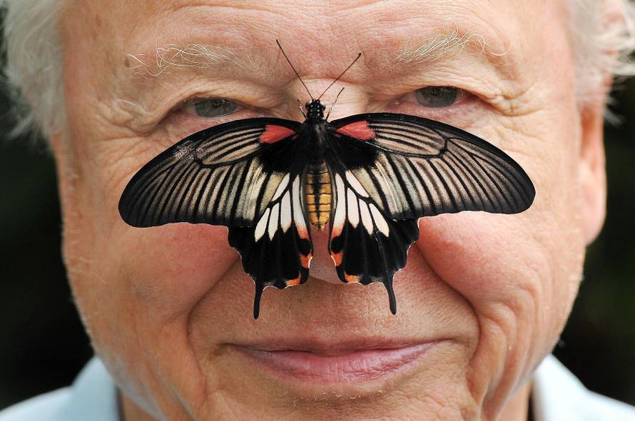 Danas slavi stotu! Legendarni David Attenborough odlučio je napustiti ured i istraživati svijet