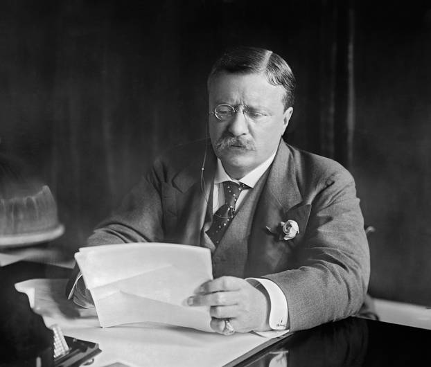Theodore Roosevelt, 26th President of the USA, c.1906