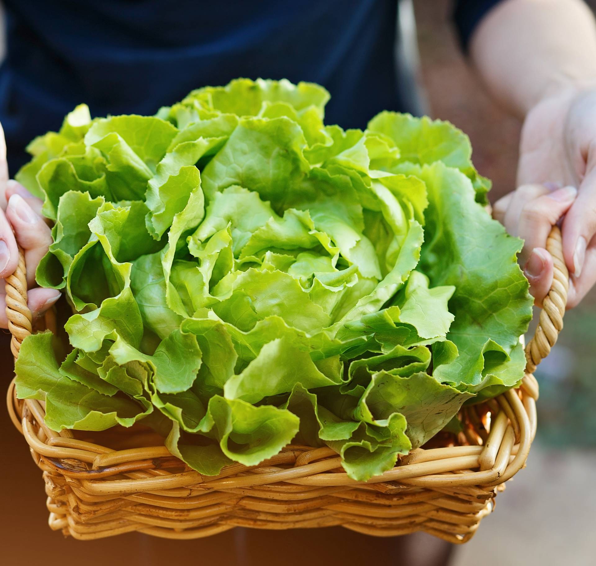 Savjeti kako da svježi peršin i salata prežive dulje u frižideru