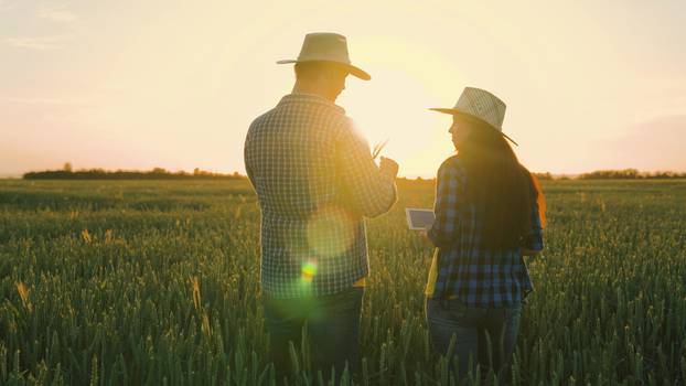 Farmer,And,Businessman,Talking,,Working,In,Wheat,Field,,Making,Deal,