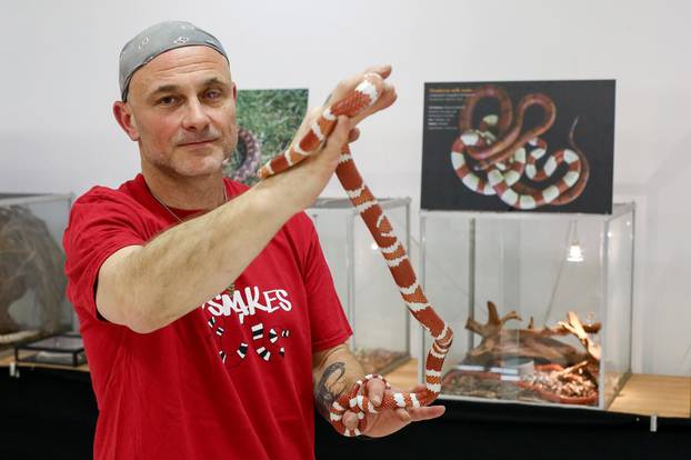 Zagreb: U centru Kaptol otvorena je izloÅ¾ba otrovnih zmija "Äudesan svijet zmija"