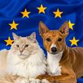 EU uvodi nova pravila za za&scaron;titu ma&ccaron;aka i pasa od zlostavljanja: 'Ku&cacute;ni ljubimac je &ccaron;lan obitelji'