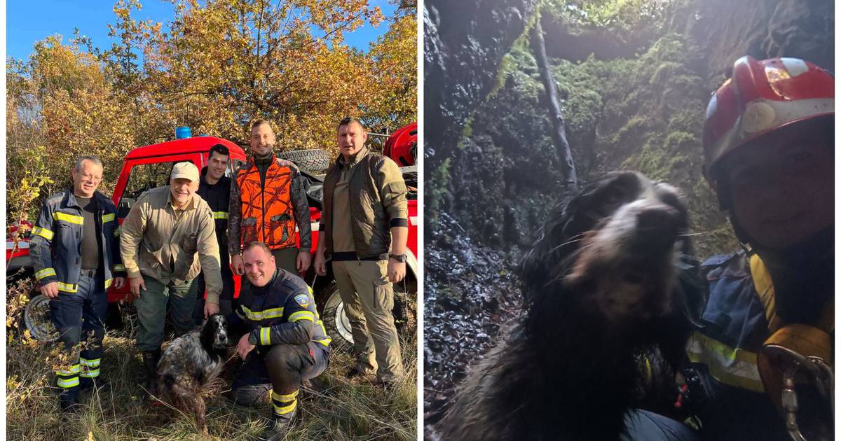 Firefighters rescue dog named Buffy from a 30-meter pit in Istria, avoiding any serious injuries