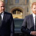 Kraljevska stručnjakinja: Harry i William nikad se neće pomiriti