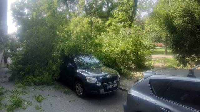 Ogromna grana pala preko čak četiri auta u parku u Zagrebu: 'Žena ju je za dlaku izbjegla!'