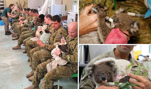 Australski vojnici hrane bebe koale ozlijeđene u požarima