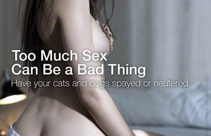 Porno zvijezda za PETA-u: Previše seksa nije dobro