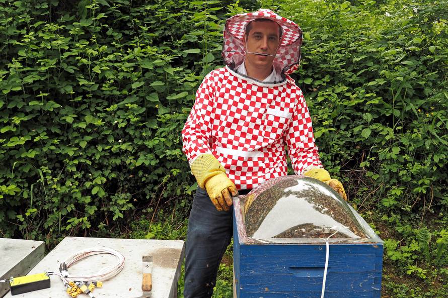 Od otrova mojih pčela radim kreme protiv bora i bolova