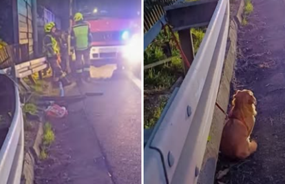 Tužan prizor na A1: Vatrogasci spašavali vozača iz auta, s njim bio pas. 'Tužno je gledao auto'