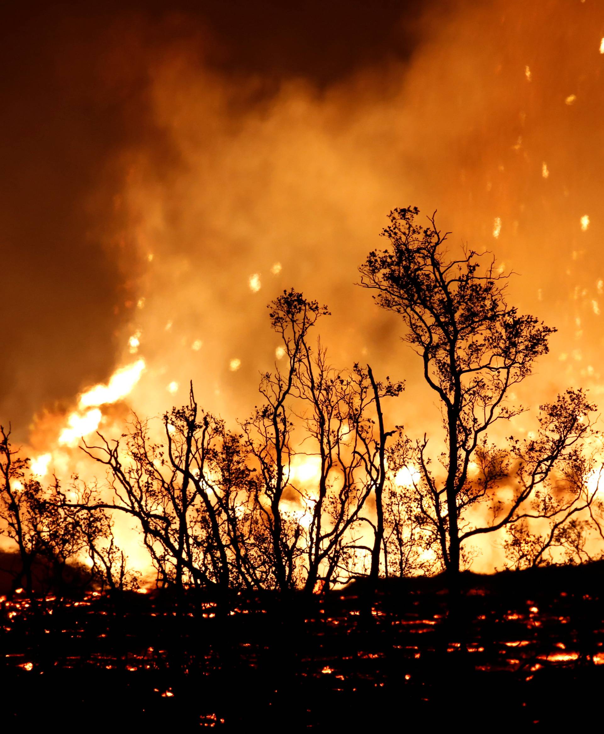 Lava ignites trees on the outskirts of Pahoa