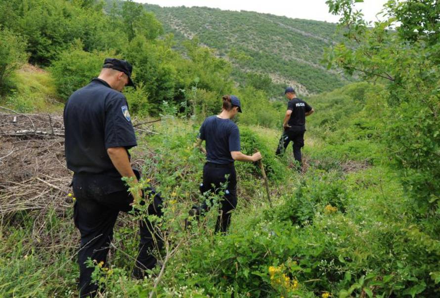 Hrvoje Jelavić/Pixsell