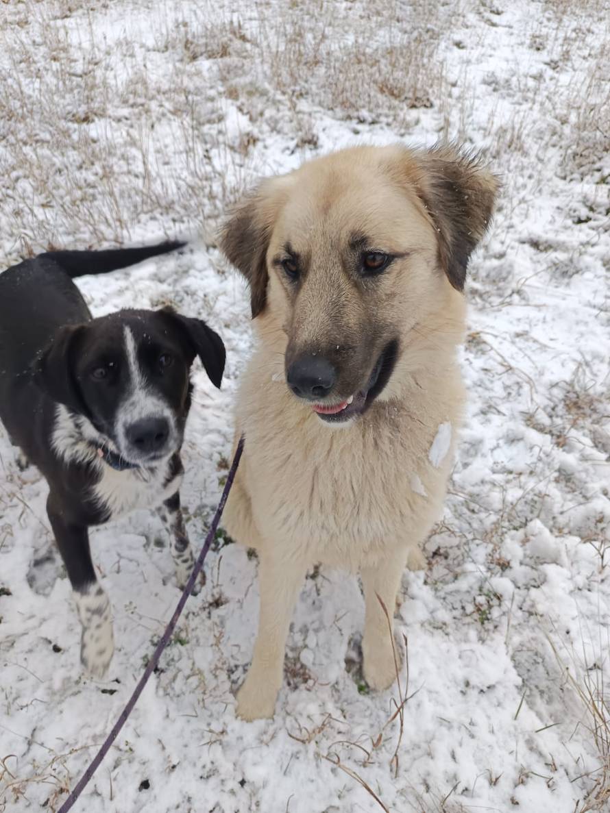 Općinska komunalka sama 'izlopatala' snijeg sa staze: 'Nema nikakve drame u tome'