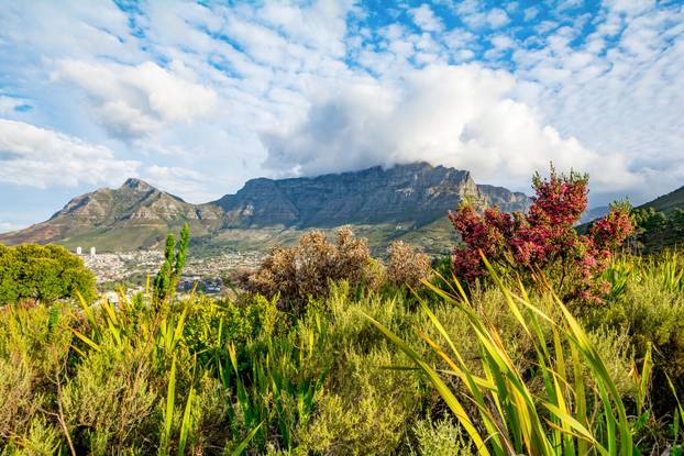 Table Mountain in Cape Town South Africa
