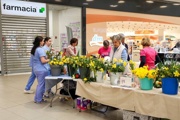 Pula: Dijelili građanima narcise te ih educirali o ranom otkrivanju raka dojke