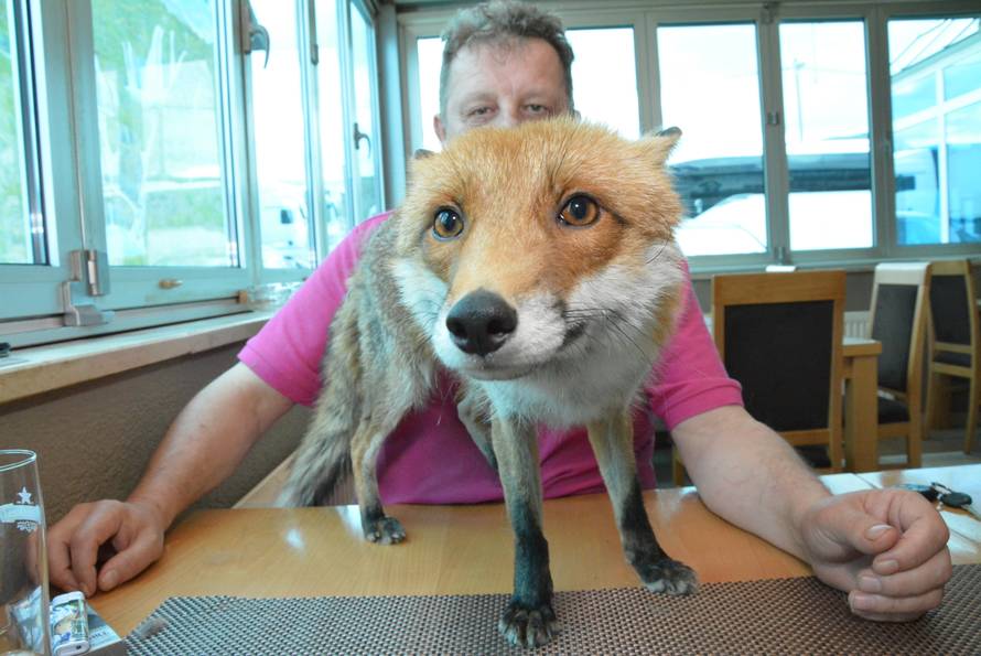 Macola  je udomio mladunče: Svaki dan kuham svom liscu