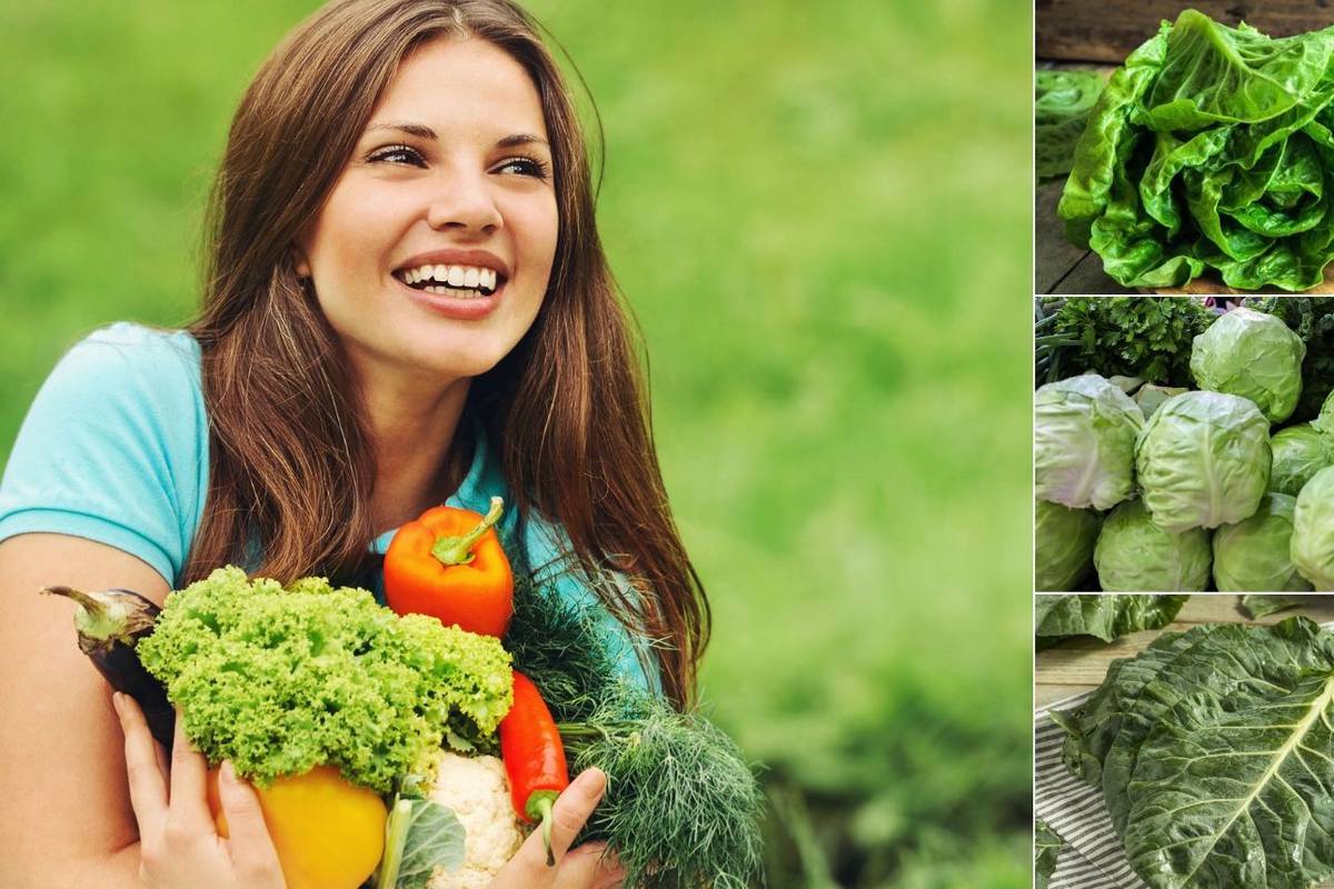 Zeleno povrće može pomoći kod mnogih zdravstvenih stanja: Evo koje je najbolje konzumirati