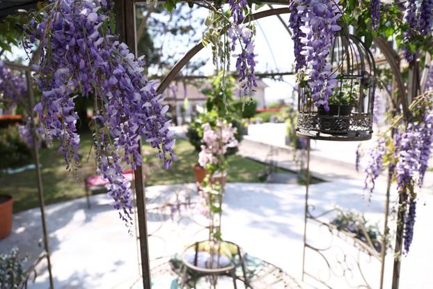 U Dugom selu održan je sajam cvijeća