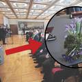 Ni med cvetjem ni pravice: Kako je azijski iris na Pantovčaku odglumio naš nacionalni cvijet