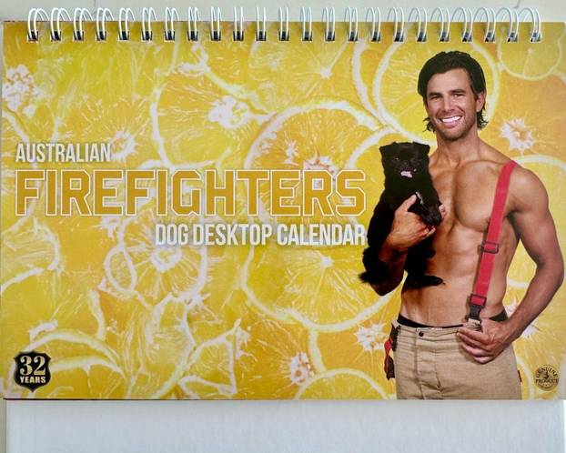 FOTO Australski vatrogasci opet pokazali mišiće za spas životinja