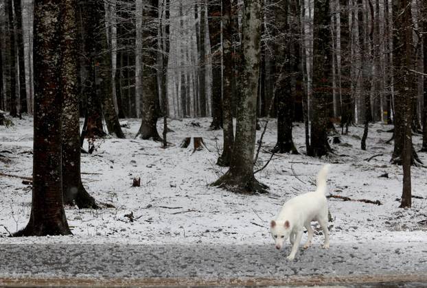 Na Platku je pao snijeg