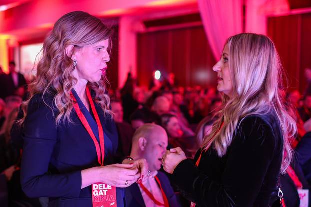 Zagreb: Izvještajno-tematska Konvencija SDP-a