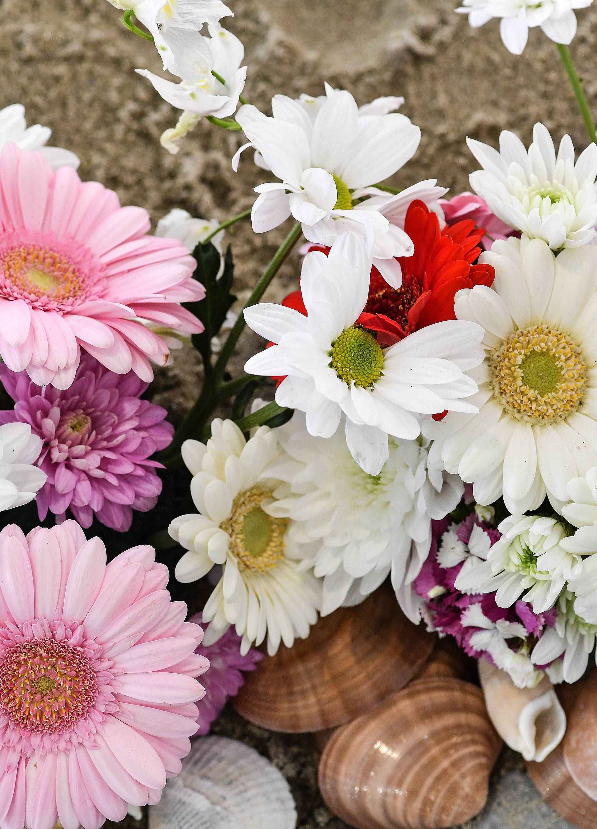 Floraart: Sadnice cvijeća od 2 kune, a za 25 mini vrt u posudi