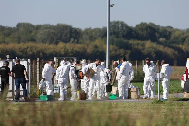 Sokolovac: Kreće eutanazija svinja, uvode se novi sigurnosni protokoli