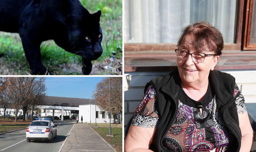 U lovu na crnu panteru u šumi na granici s Hrvatskom: 'Ako je vidiš, nemoj je gledati u oči'