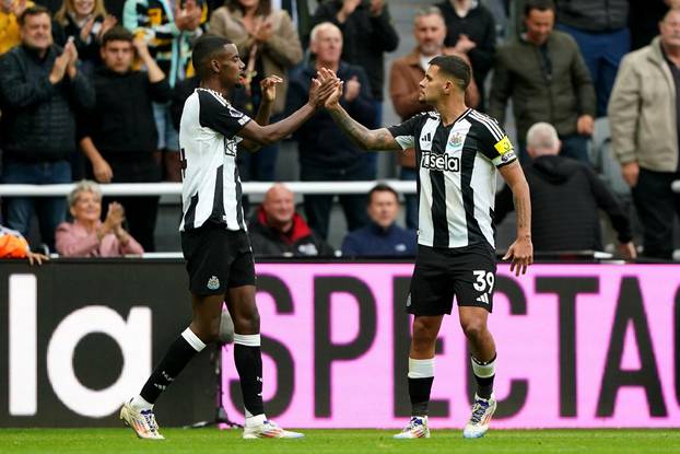 Newcastle United v Tottenham Hotspur - Premier League - St James' Park