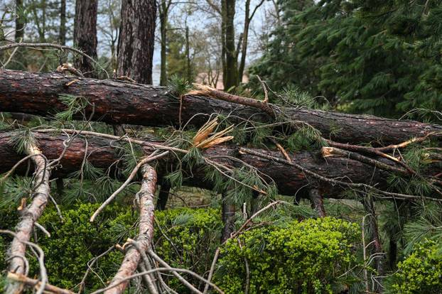 Zagreb: U nevremenu teško oštećeno gradsko groblje Mirogoj