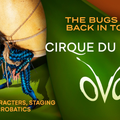 &Scaron;arena i energi&ccaron;na predstava za sve generacije: OVO - Cirque du Soleil